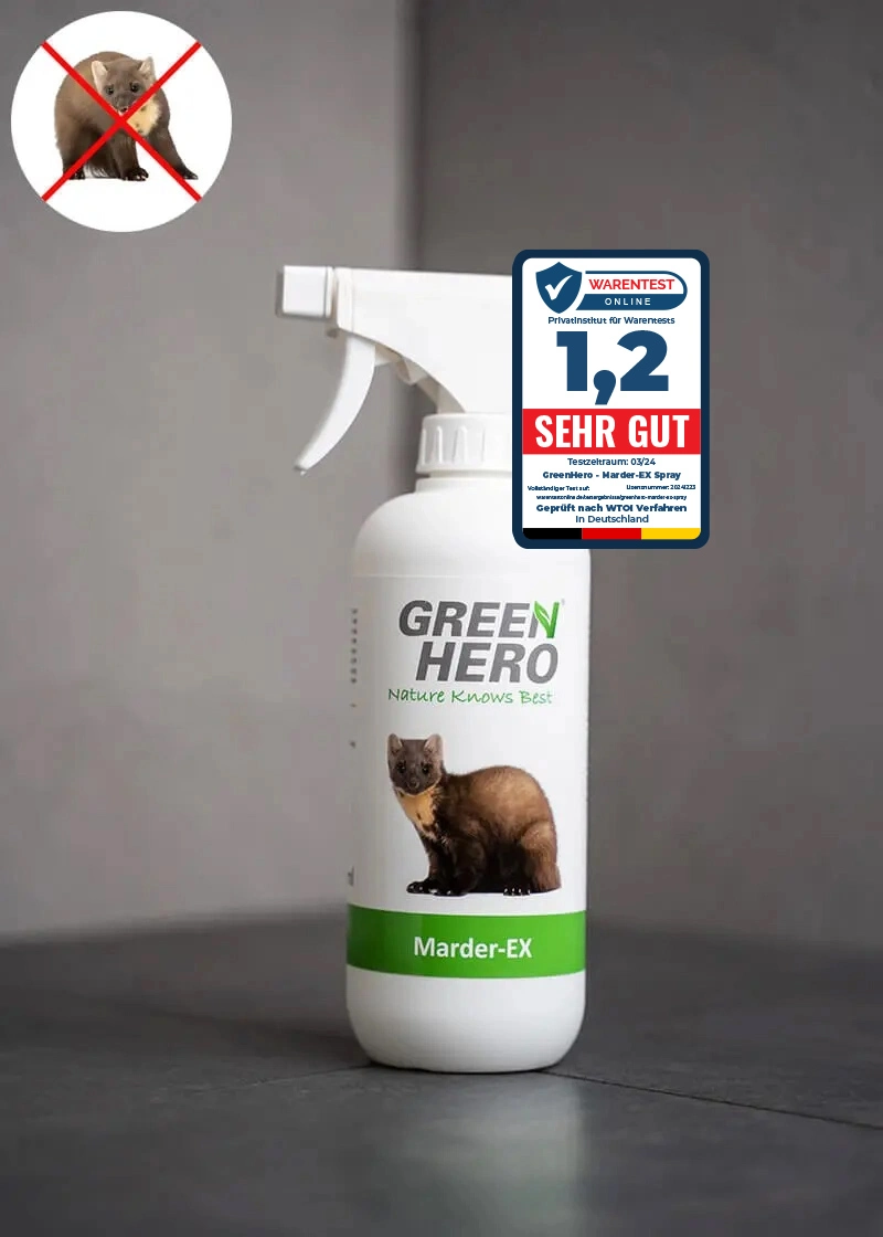 GreenHero® Marder-Ex Spray gegen Marderverbiss