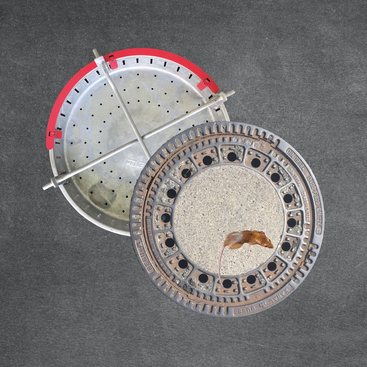 RatCap4