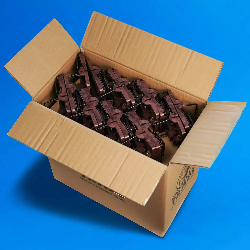 GorillaTraps_Rat80_open GORILLA TRAPS® Rattenfallen | 80 Stück