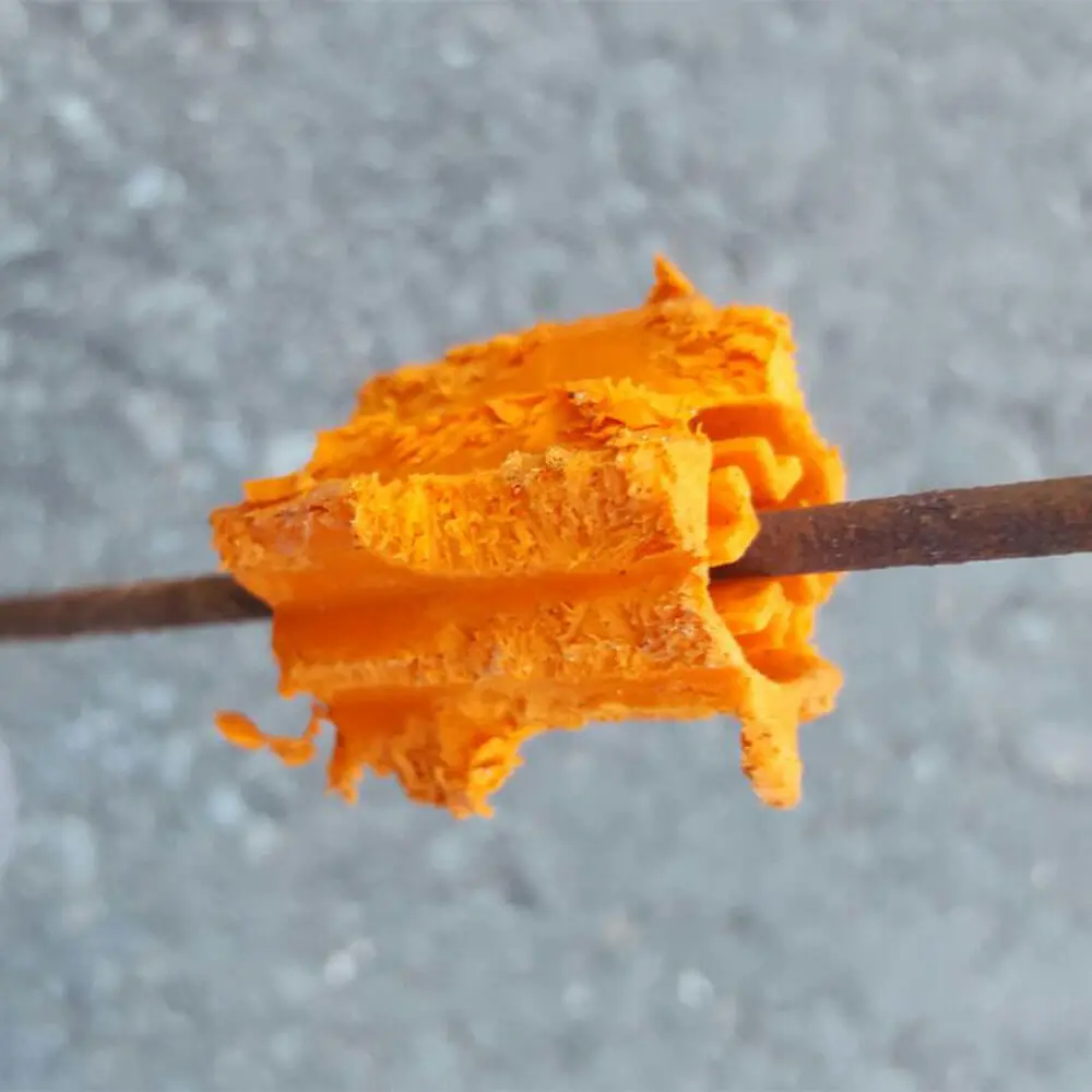 nara-stic-2-_1_