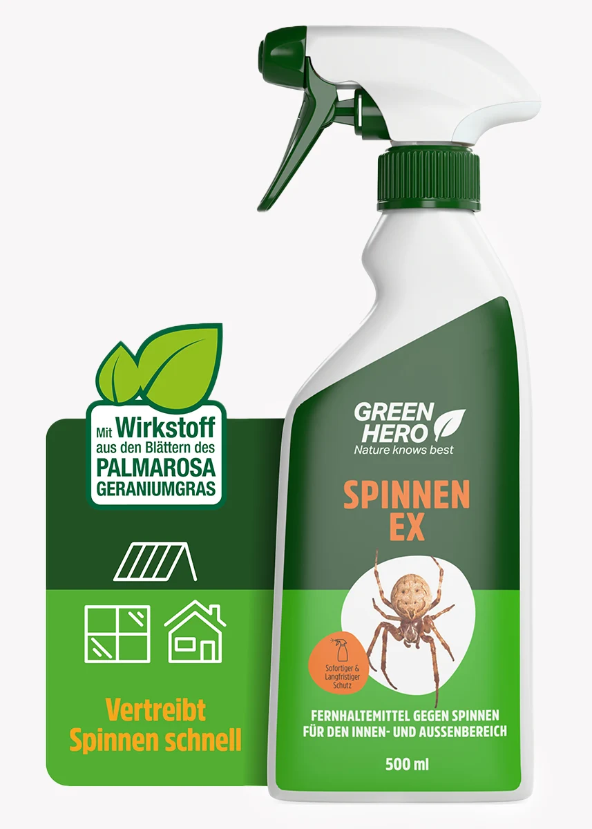 GreenHero® Spinnen-Ex Spray für Balkon, Terrasse und auf dem Boot