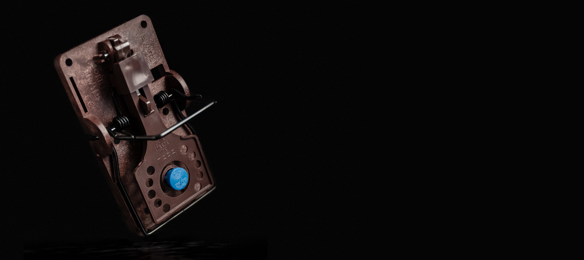 Gorilla-Traps-BannerLK5ScMsFiaSy6