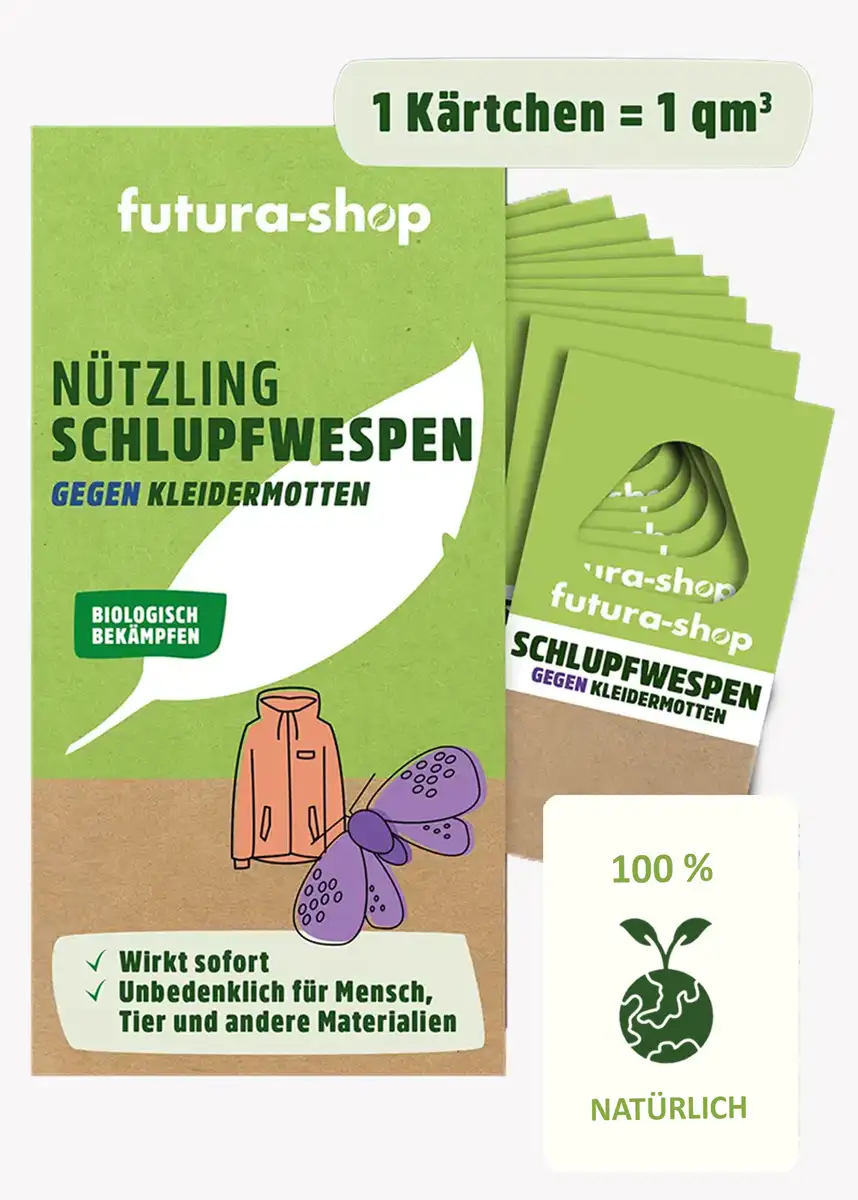 Schlupfwespen gegen Kleidermotten