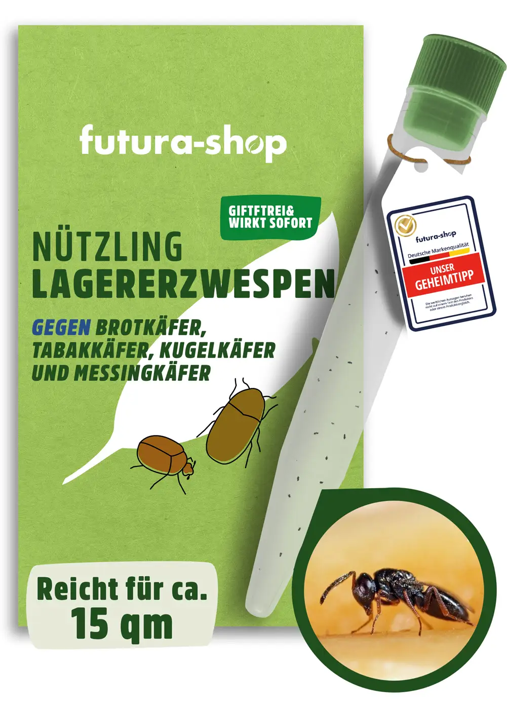 Schlupfwespen "Lagererzwespen" gegen Brotkäfer, Tabakkäfer, Kugelkäfer, Messingkäfer | biologisch