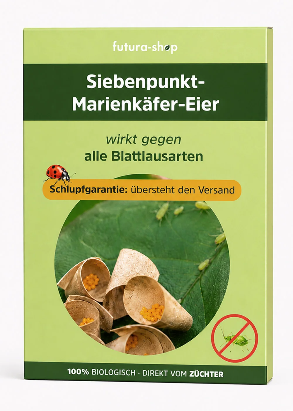 Siebenpunkt-Marienkäfer-Eier gegen Blattläuse Siebenpunkt-Marienkäfer-Eier gegen Blattläuse