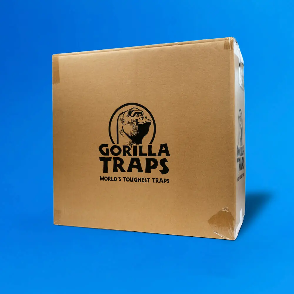 GORILLA TRAPS® Rattenfallen | 80 Stück